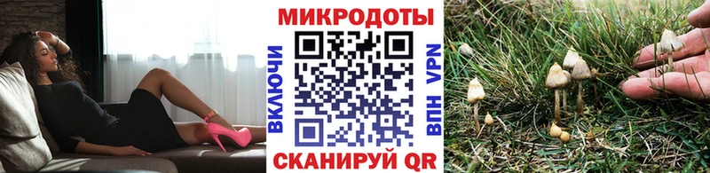 Галлюциногенные грибы прущие грибы  Купить закладки  Кремёнки 